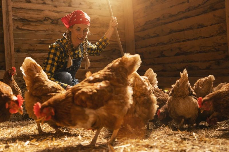 Composting Companions