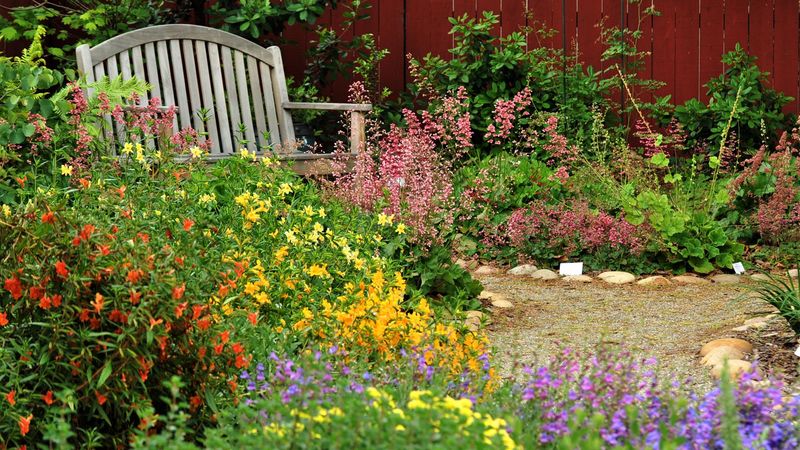 Create a Pollinator-Friendly Habitat