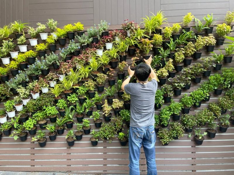 Create a Vertical Garden