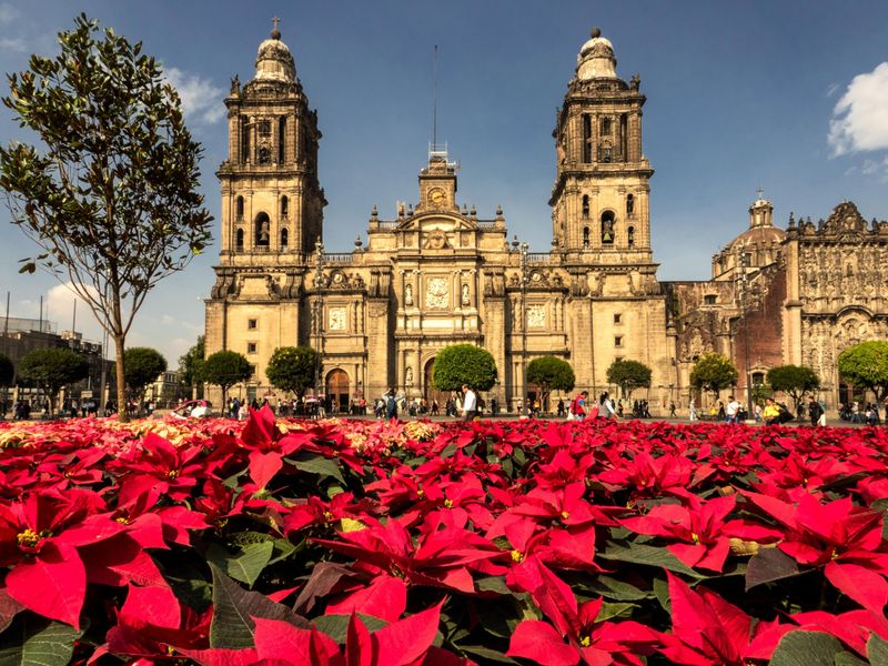 Cultural Significance in Mexico