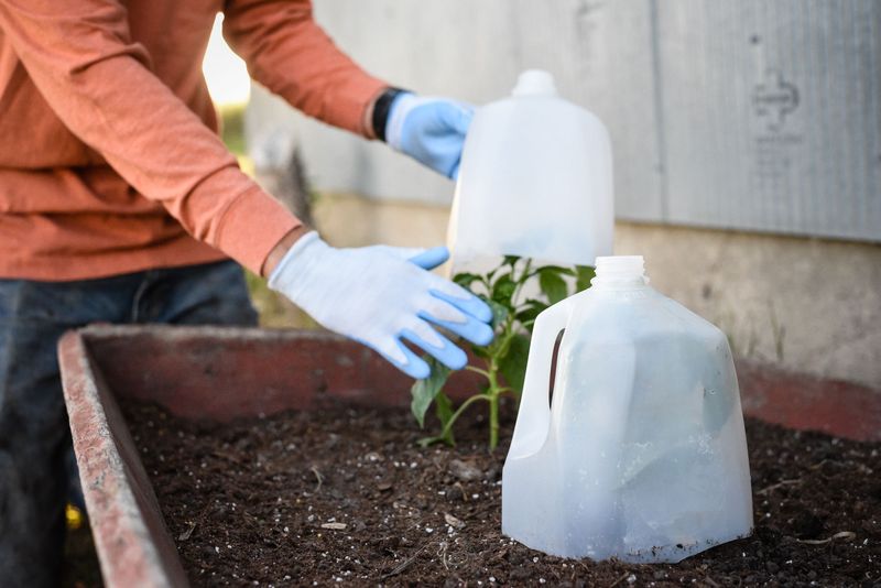 DIY Greenhouse Effect