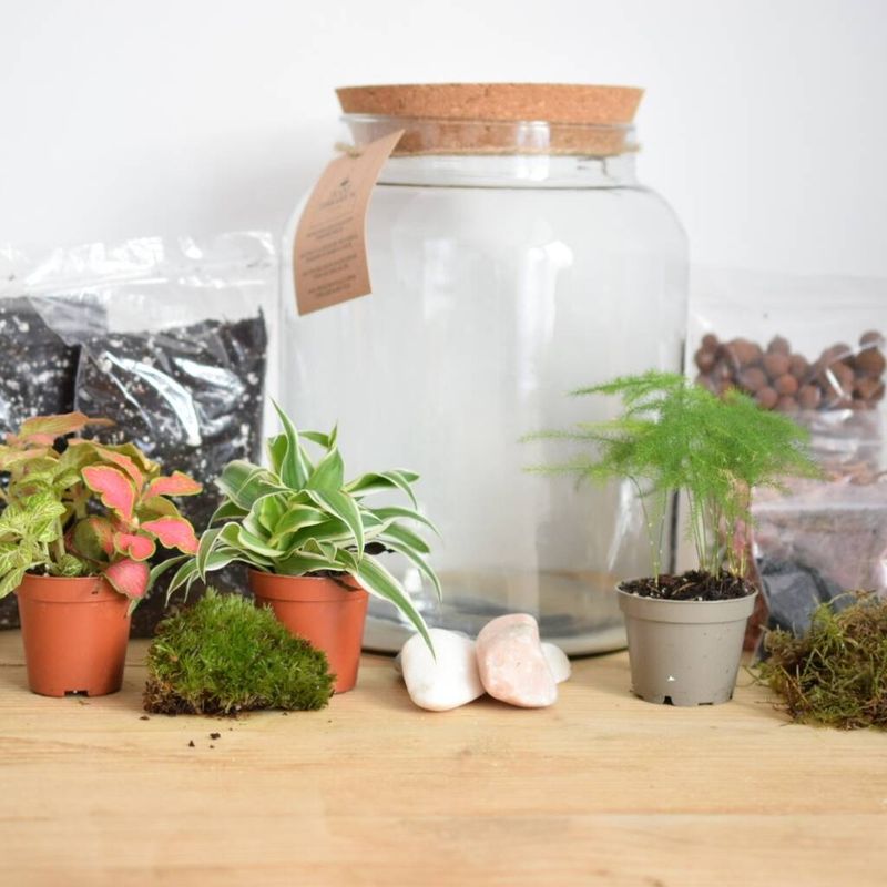 DIY Terrarium Kit