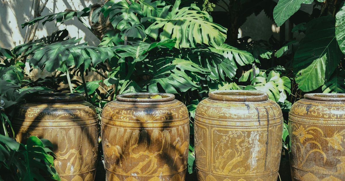 Discovering Rain Pots: The Chic Alternative to Water Butts