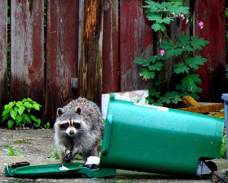 Eco-Friendly Composting