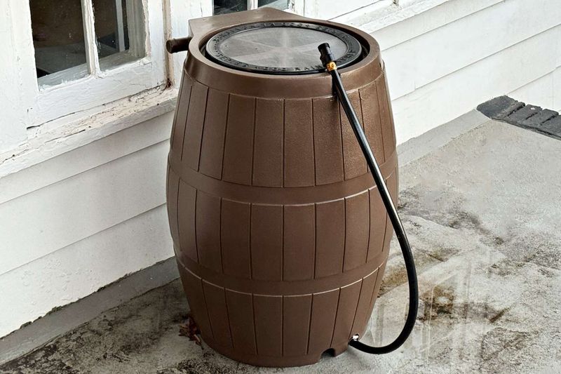 Eco-Friendly Plastic Rain Pot