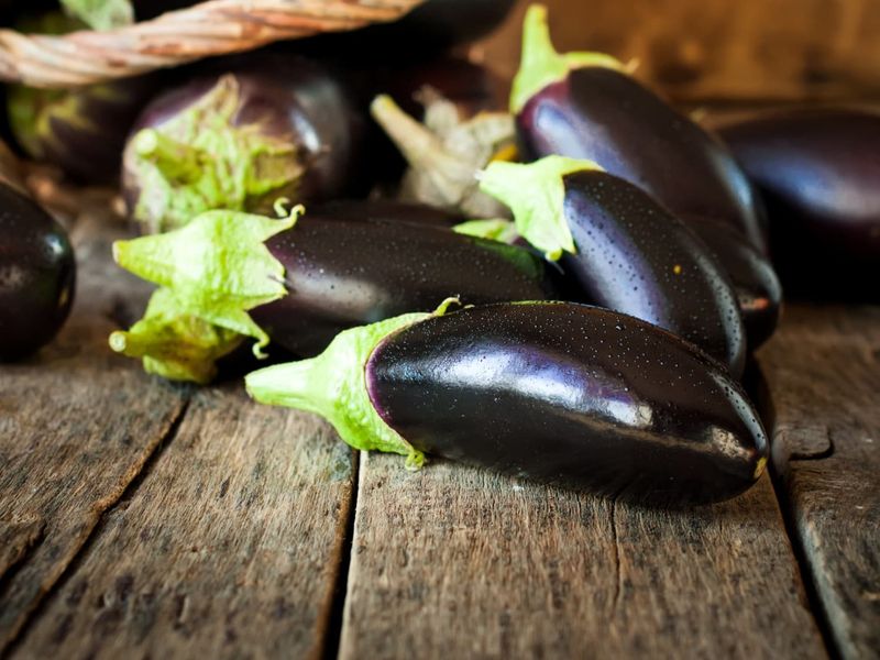 Eggplant