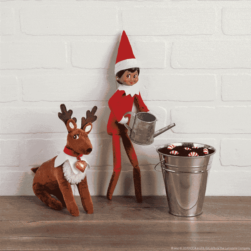 Elf Gardening Surprise