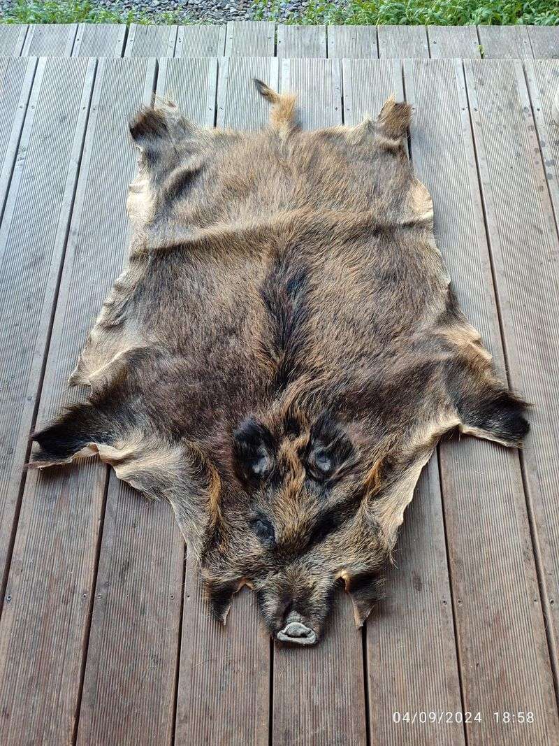 Feral Animal Pelts