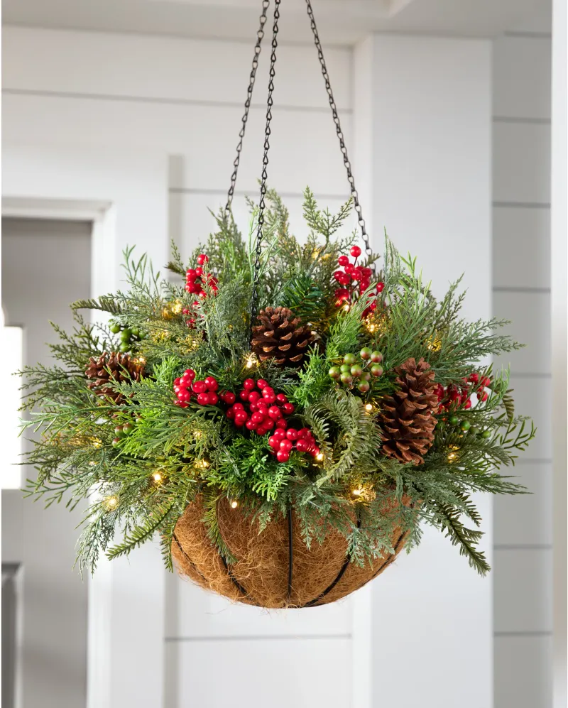 Festive Evergreen Hanging Basket