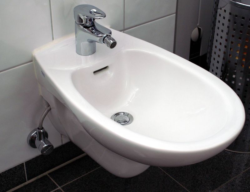 French Bidet Usage