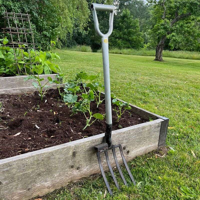 Garden Fork