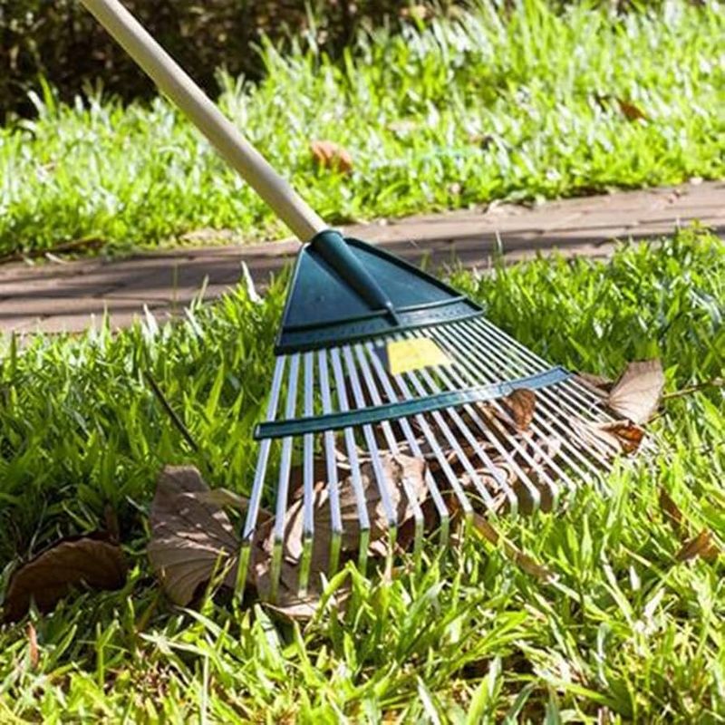 Garden Rake