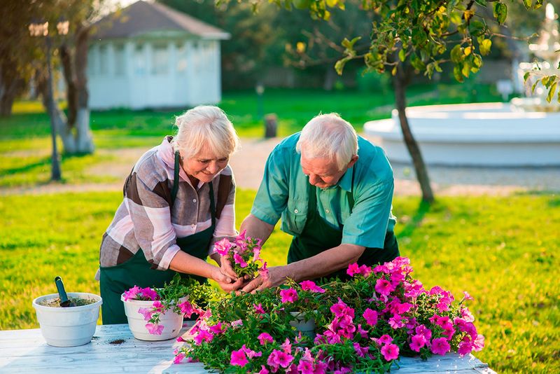 Gardening for Well-being