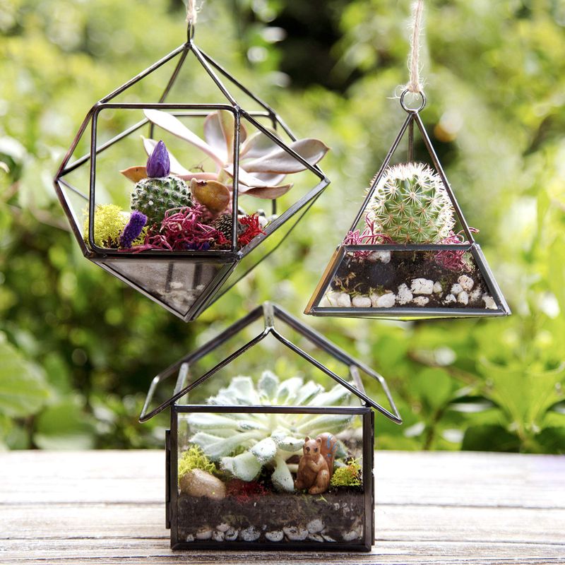 Geometric Glass Terrariums