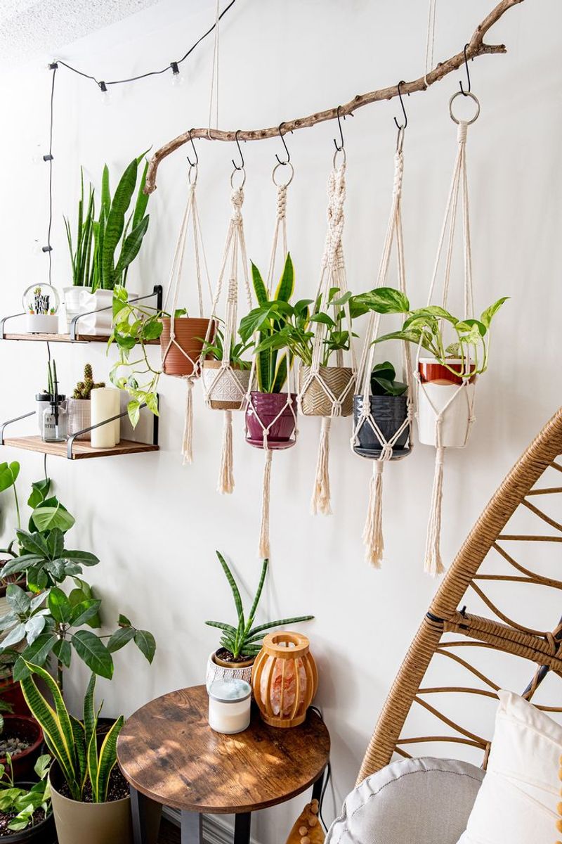 Hanging Planters