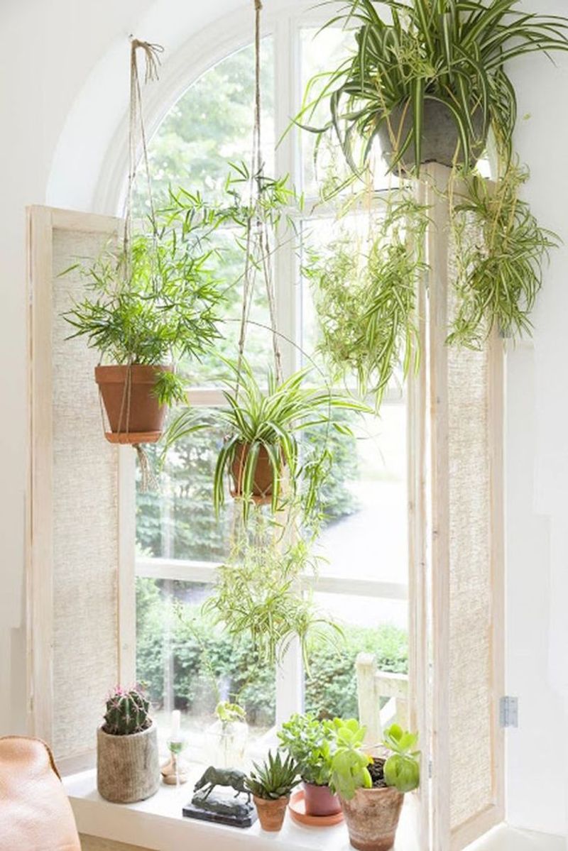 Hanging Planters