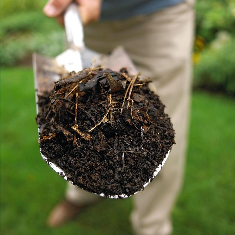 Harvesting Finished Compost