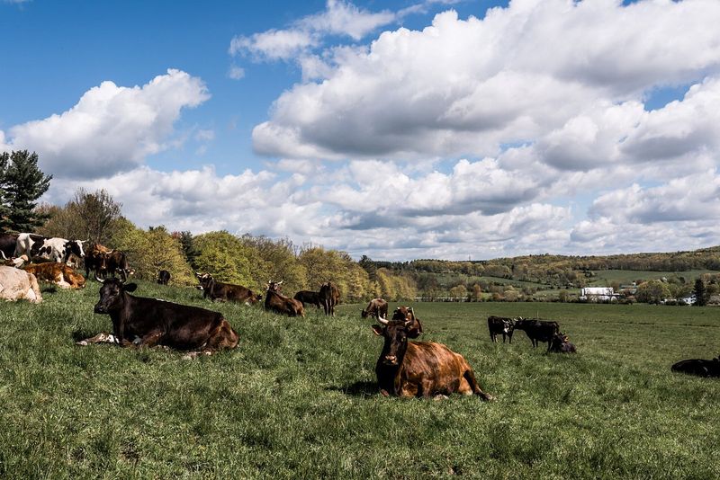 Hawthorne Valley Farm