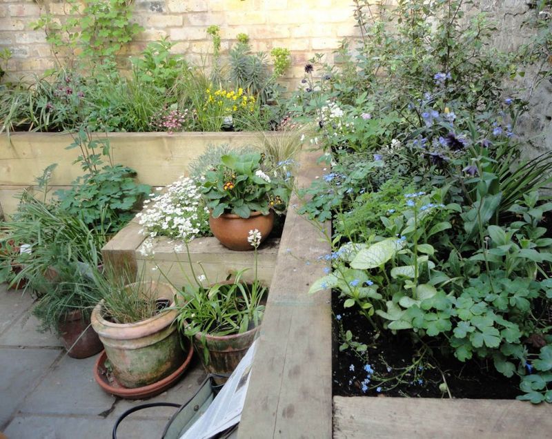 Herb Garden