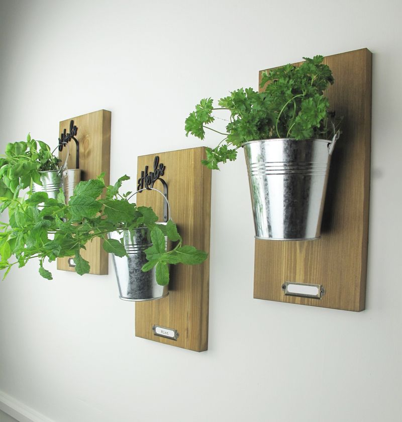 Herb Wall Gardens