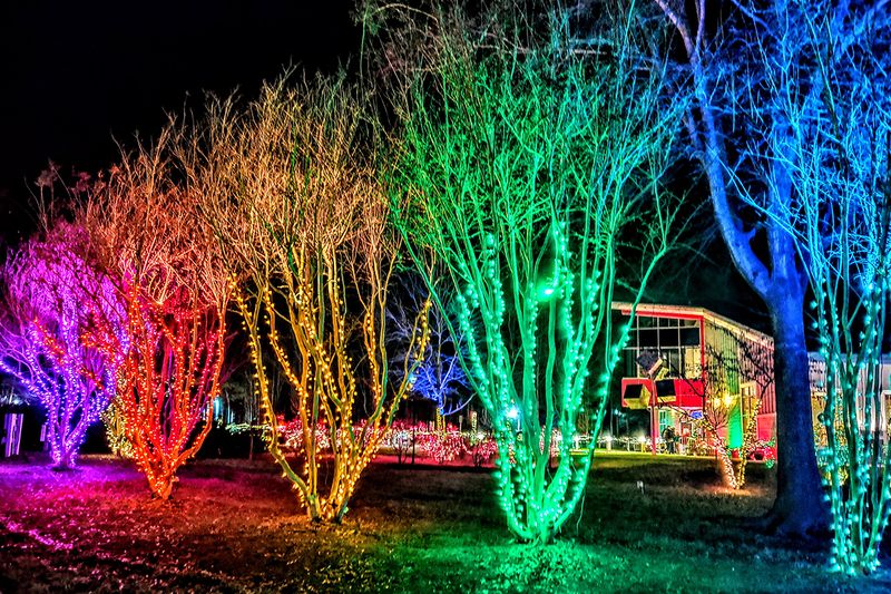 Holiday Light Trails