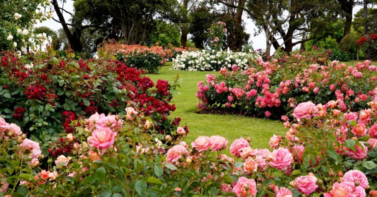 How to Design Your Dream Garden for 2025