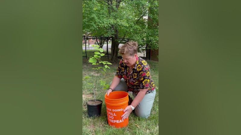 Ice Bucket Challenge