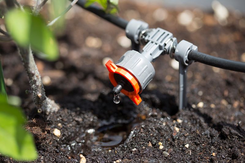 Implement Drip Irrigation