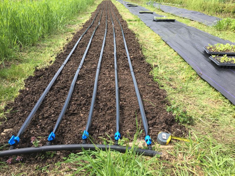 Implementing No-Till Gardening