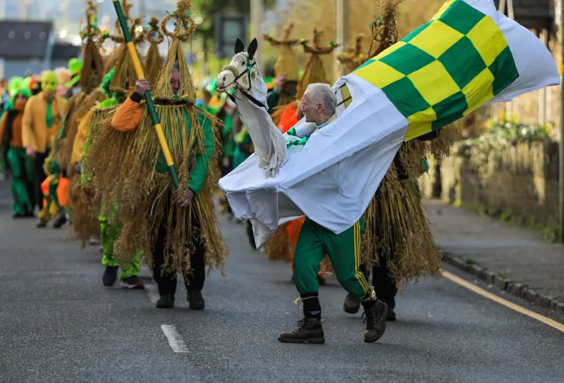 Ireland's Wren Day