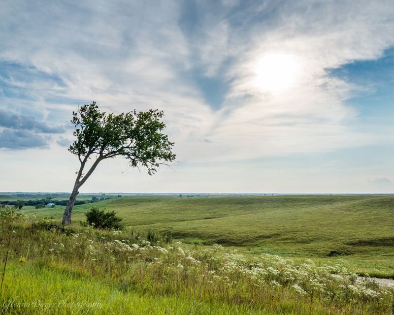 Kansas