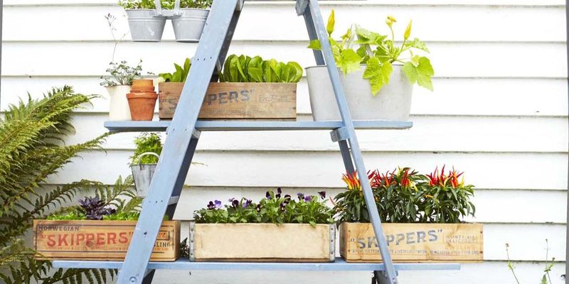 Ladder Plant Stand