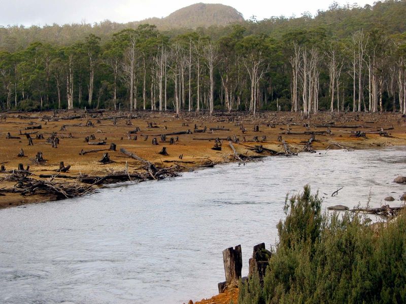 Loss of Biodiversity