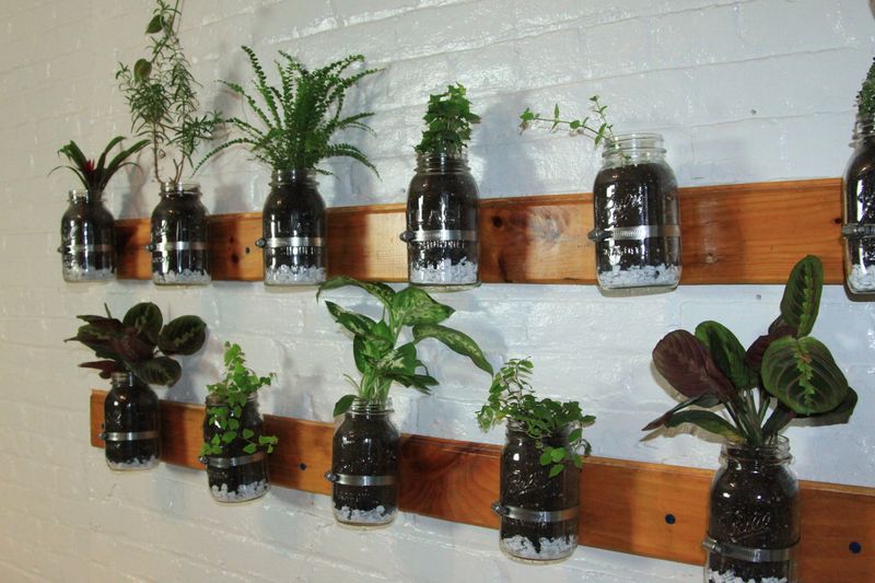 Mason Jar Gardens