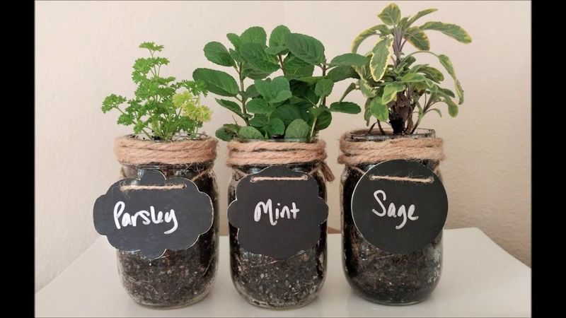 Mason Jar Herb Garden