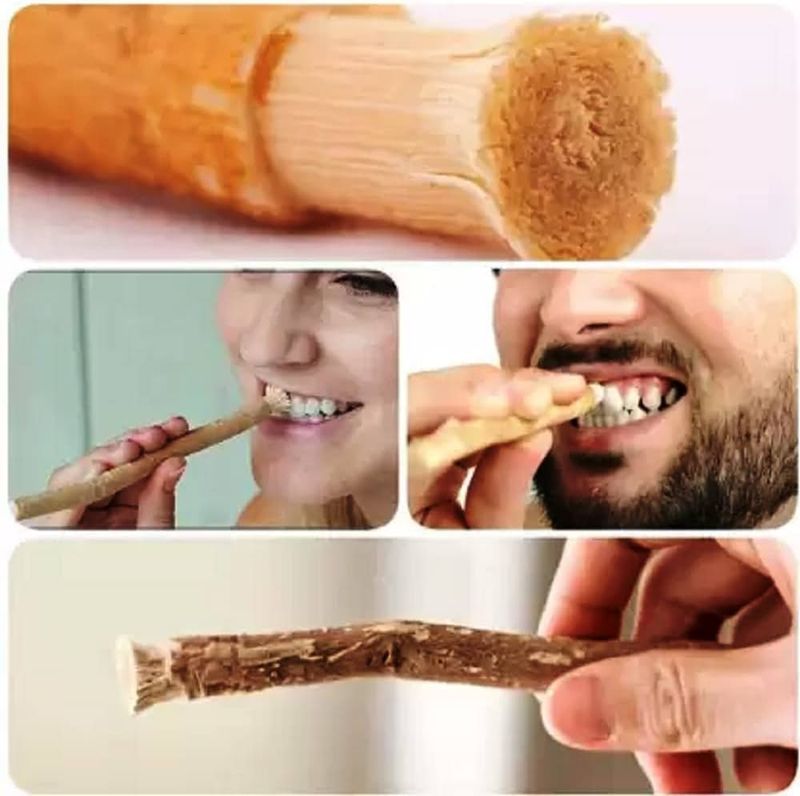 Middle Eastern Miswak Usage