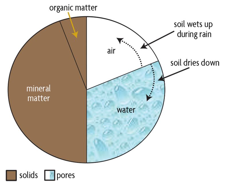 Mineral Particles