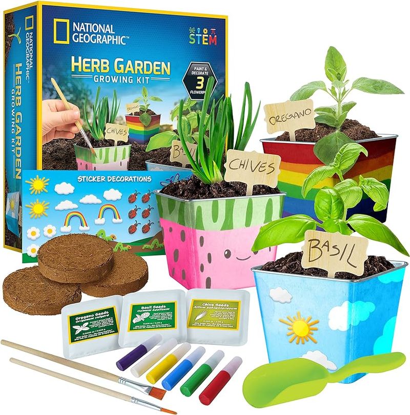 Mini Herb Garden Kit