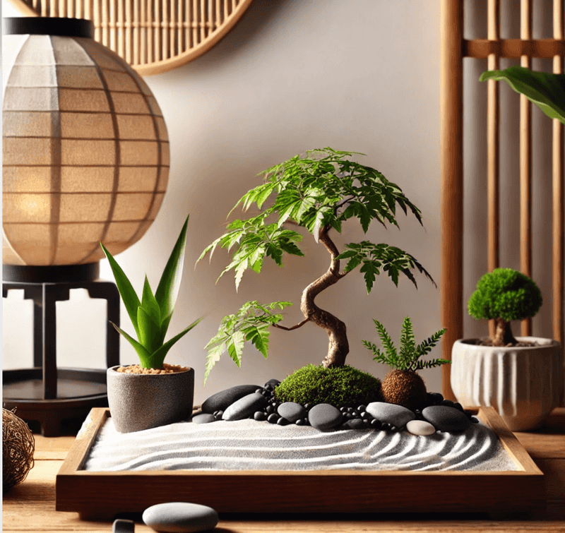 Miniature Zen Gardens