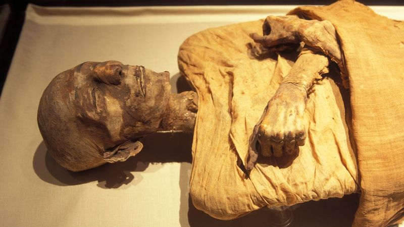 Mummy DNA Analysis