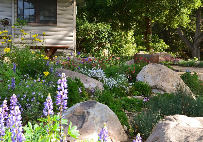 Native Plant Selection