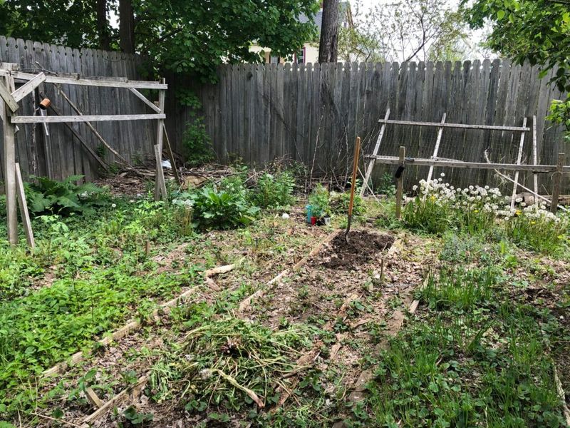 Neglected Fencing