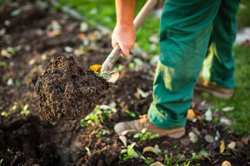 Neglecting Soil Quality