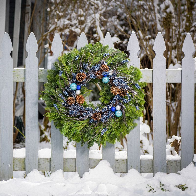 Outdoor Fence