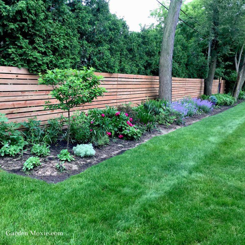 Perennial Borders