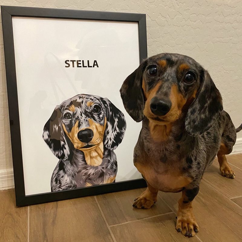 Personalized Pet Portrait