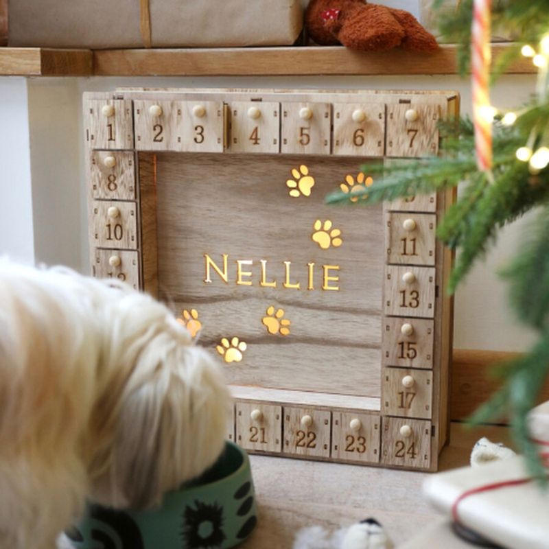 Pet-Friendly Advent Calendar