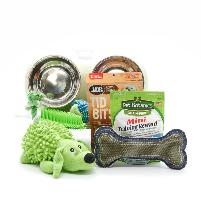 Pet Lover's Delight Basket