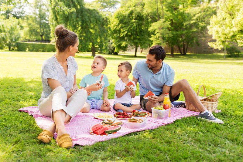 Picnic Outings