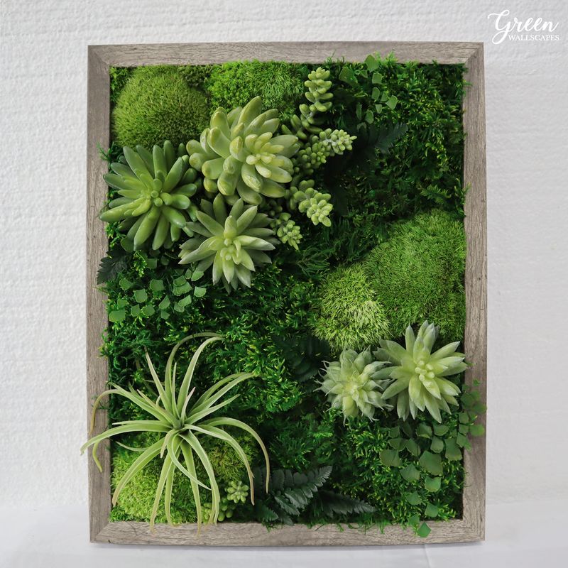 Plant Wall Art